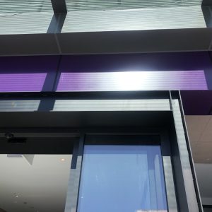 gallery (41)